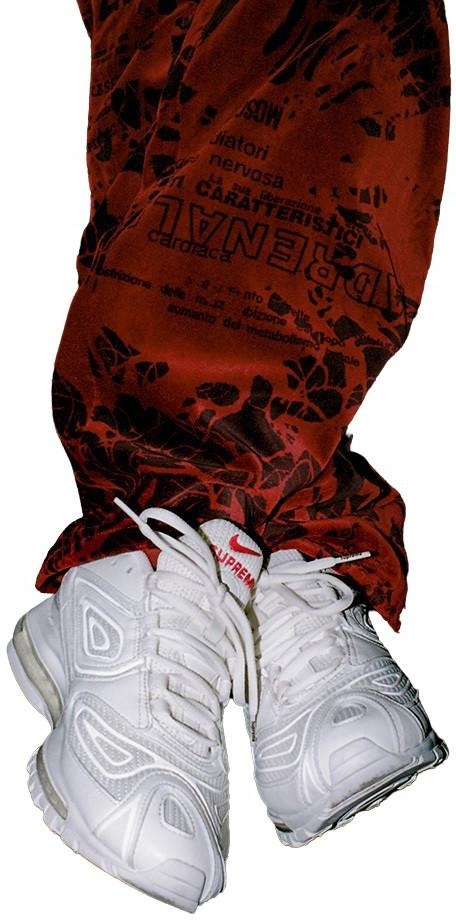 Supreme®/Nike® Air Max 98 TL view 15